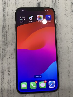 iPhone With Tik Tok Installed 12 Pro Max