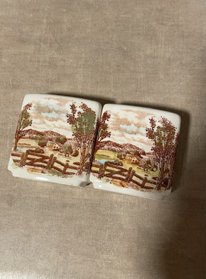 Set of Vintage Hand Painted Country Scene Salt & Pepper Shakers Made In Japan