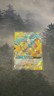 2019 Pokemon Cosmic Eclipse Moltres Zapdos Articuno GX 66/236 Full Art Holo