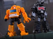 DW-E26 Black Mirror and DW-E25 Crane Hook Set of 2  Dr. Wu