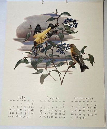 Berwind White Coal Mine Raymond E Craig Prints Watercolor Birds Calendar 1959 - Picture 6 of 9