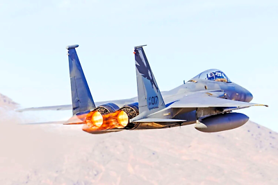 USAF 194th FIGHTER SQ -194 FS- F-15 -78-0480- CA ANGB-Fresno