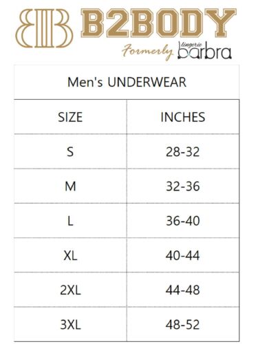 Tangas de satén para hombre Ropa interior Bragas Sedoso Sexy Hombre Cuerda G Camisetas Paquete múltiple - Imagen 25 de 28