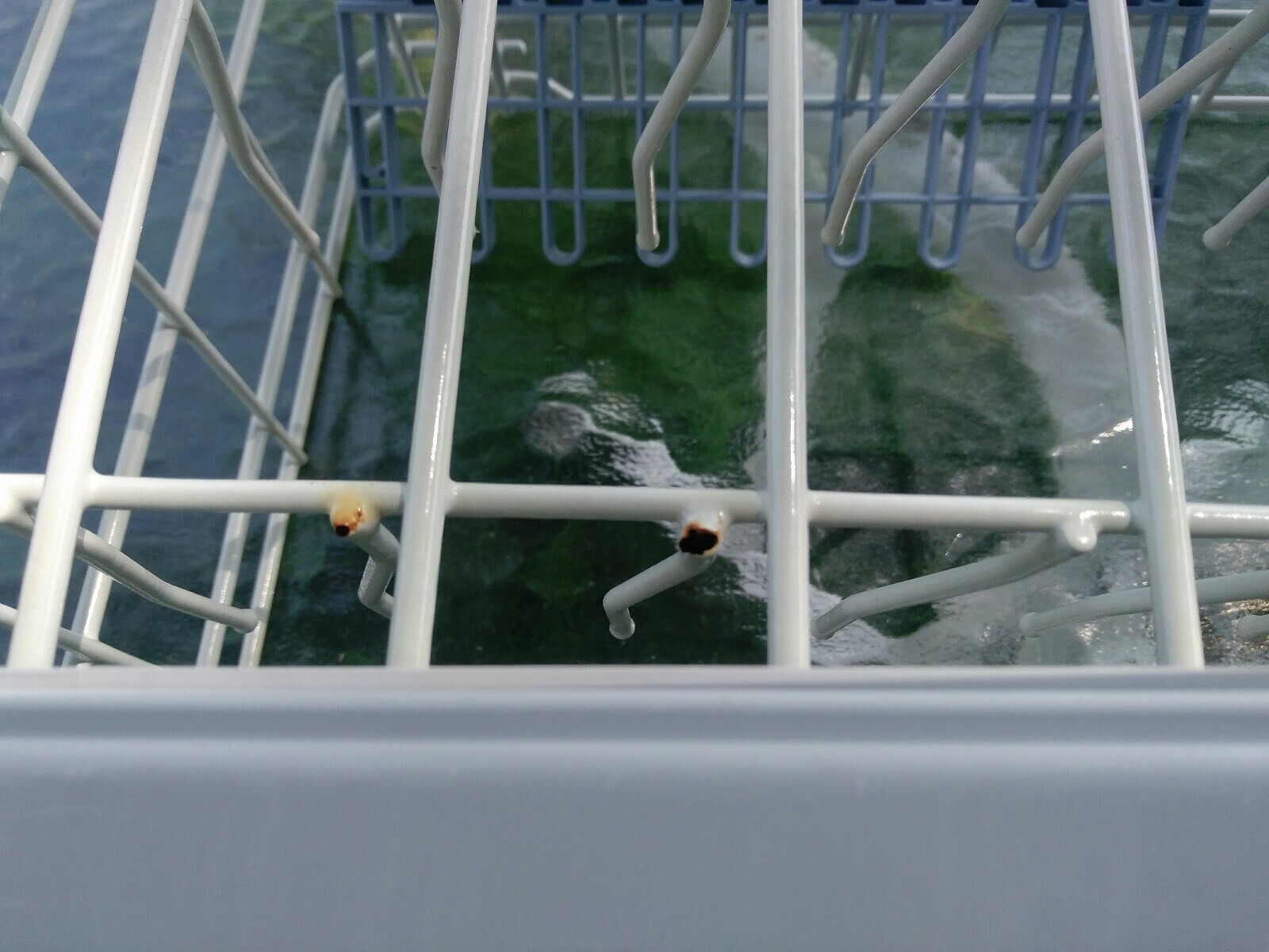 MAYTAG Quiet Series 200 Dishwasher Upper Top Rack mdbtt50aww used (some