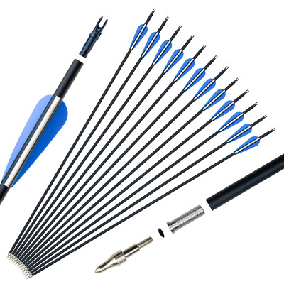 6/12PCS 31'' Carbon Arrows Hunting Archery Target Arrow Practice Shooting 6 Color