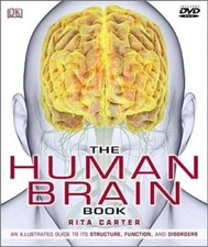 The Human Brain Book - Hardcover By Rita Carter - VERY GOOD