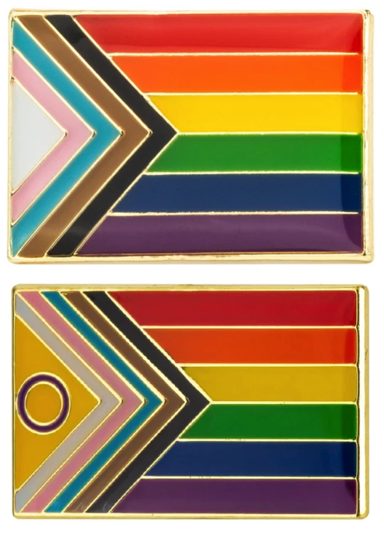 Progress Pride Intersex Enamel Pins Badges Lapel Brooch LGBT Gay Queer All Year
