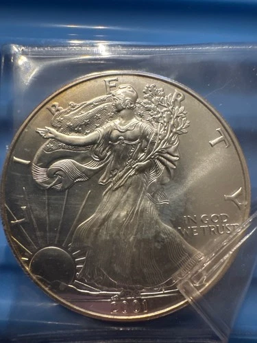 2001 $1 Dollar American Silver Eagle / Walking Liberty  Coin 1 Ounce Fine Silver