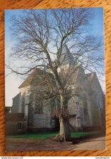 Avirey Lingey (Aube) - Eglise Saint Phal 15è siècle - CPSM GF