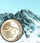 Canada 1867 - 1967 Centennial Silver 25 Cent Canadian Quarter 25c Bobcat Coin.