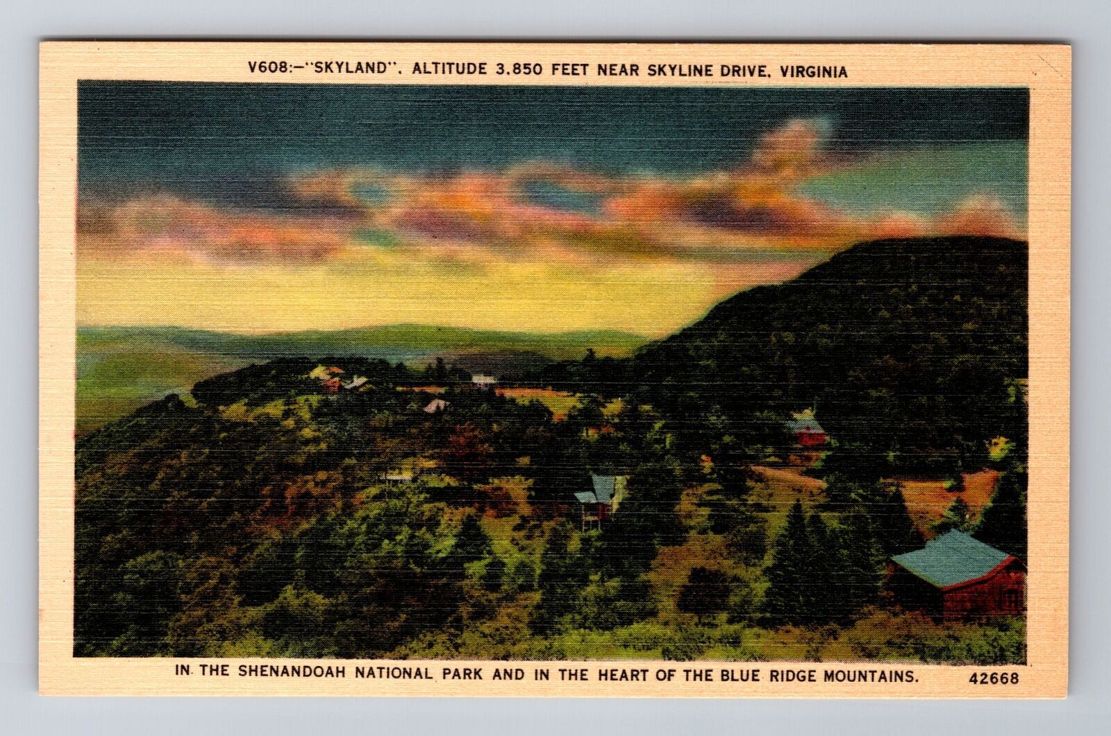 VA-Virginia, Skyland Drive, Blue Ridge Mountains, Vintage Souvenir Postcard