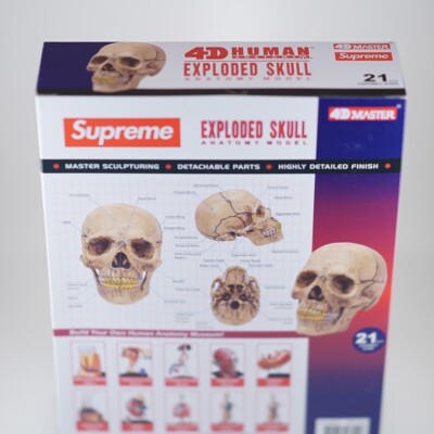 Supreme 4D Model Puzzle Human Skull With Gold Grills FW23 Supreme 4D Model Puzzle Human Skull With Gold Grills FW23