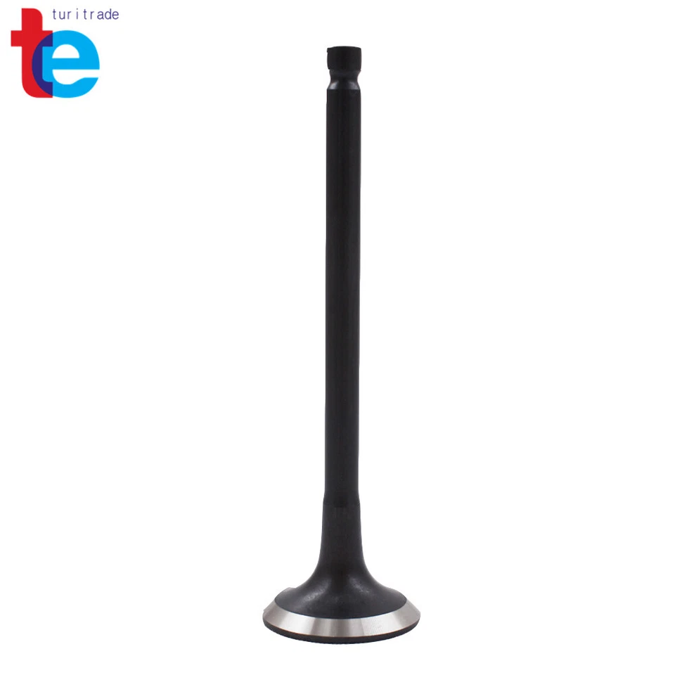 24 piezas válvulas de escape de admisión para Hyundai Kia 1999-2010 2,5 L 2,7 L negro Foto 2 de 4