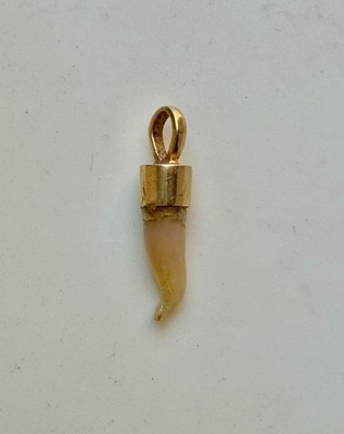18K Gold Mounted Human Wisdom Tooth Pendant   Memento Mori Jewelry