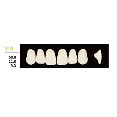 Synthetic Polymer Resin False Teeth, Square Anterior Upper Denture T10 A2