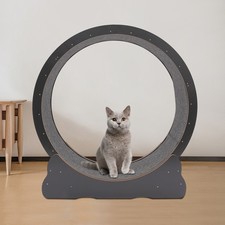 Modern Cat Wheel Round Cat Exercise Wheel for Indoor Cats With Floor Mount Black
