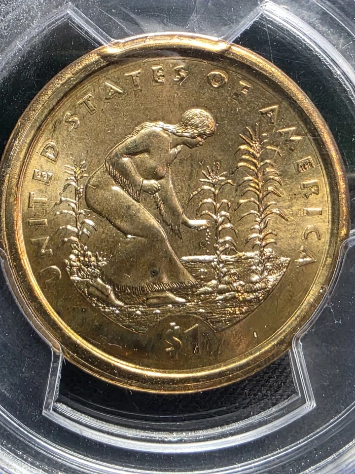 2009 PCGS MS66 Double Struck Native American Sacagawea Dollar Mint Error Wow! - Image 3 of 4