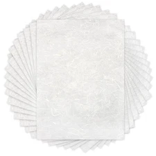 50 Sheets A4 Natural Mulberry Paper Visible Plant Fibers Rice Paper Printable De