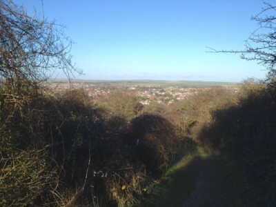 Foto 6x4 Weg durch Dornengestrüpp von Seaford Kopf hinunter zum Seaford von c2014