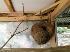 Coconut Coco Coir Husk Fiber Natural Comfortable Bird parrot Cage Nest house