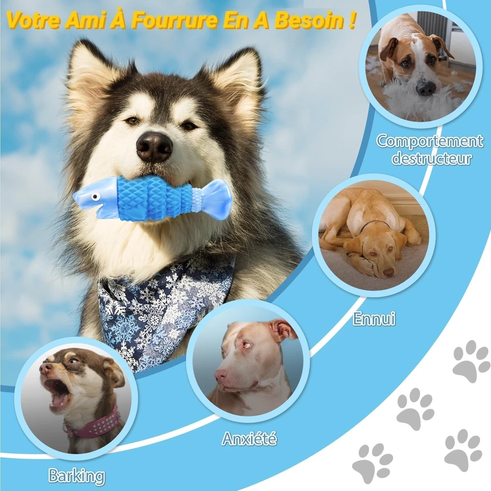 Jouet Chien Indestructible WinTour - Jouet à Mâcher Résistant - Photo 2/4