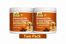 Advanced Dog Hip  Joint Supplement with Glucosamine  30 Flavored Chews Two Pack
