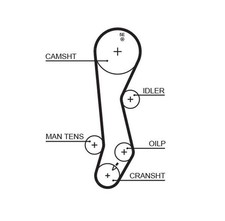 GATES 5389XS Zahnriemen für TOYOTA PASEO Coupe (EL54) PASEO Cabriolet (EL54)