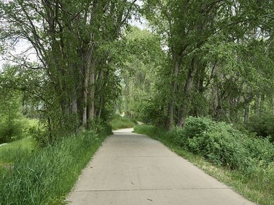 Photo:Aspen Colorado 2016 Jenny Adair Open Space Hiking Biking Trail Trees