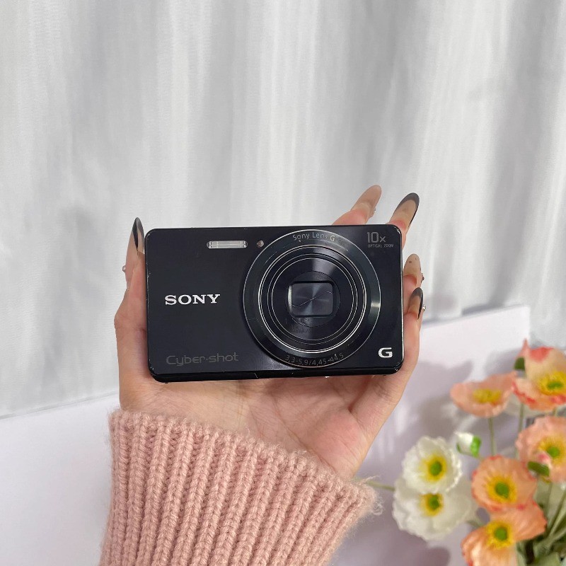 Sony Cyber-shot DSC-W690 16.1MP Digital Camera 10x Zoom Camera