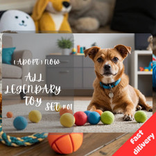 adopt Today Popular 🌸Toy 🌸 Collectible Trading Items