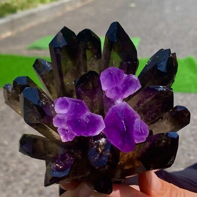 1.46LB New Find black Phantom Quartz with amethyst Crystal Cluster Mineral