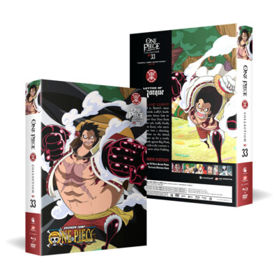 One Piece Collection 33 BLURAY/DVD SET (Eps # 795-818) (Uncut) | eBay