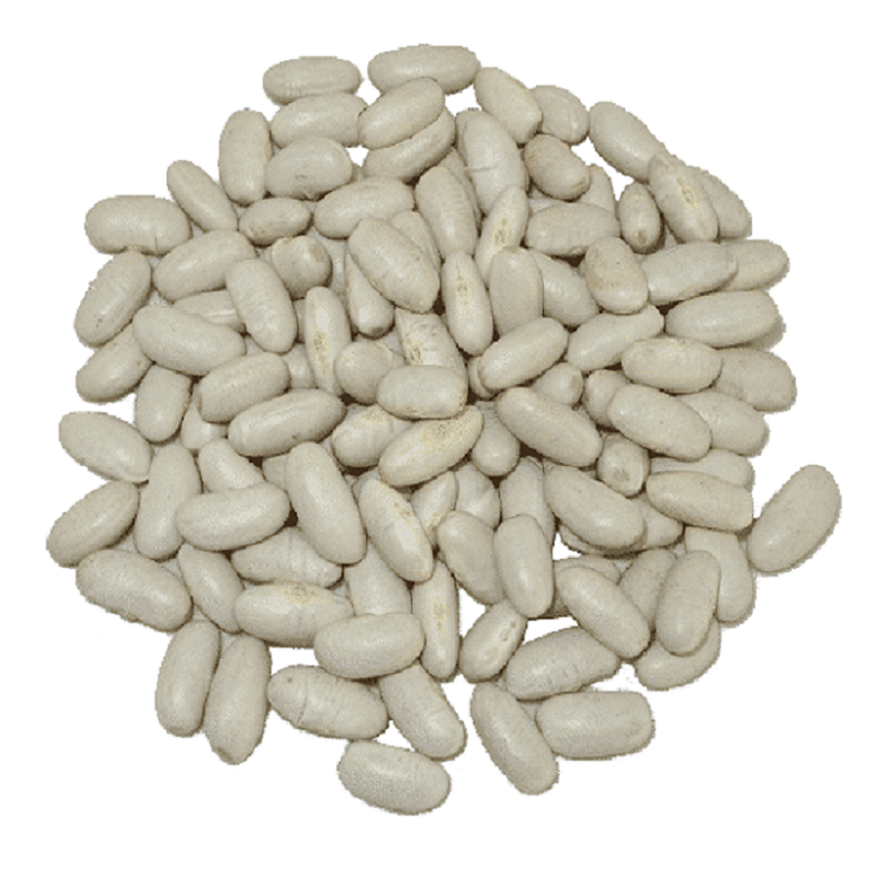 Dry White Kidney Beans ( Pack 2 x 500g pkt) Alubia Blanca de Riñon eBay