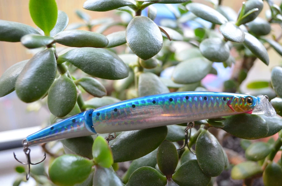 TAKE Wobbler 2 tlg.Schweden Popper Pop Jerkbait Crankbait Stickbait 12,5cm,17gr