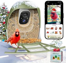 HIXX Smart Bird Feeder with Camera, AI Identify Birds & Auto Forest Green 