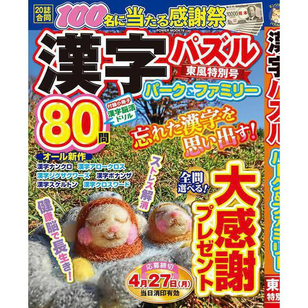 Kanji Puzzle Magazine Family & Park Special Issue Mook For Ages 14+