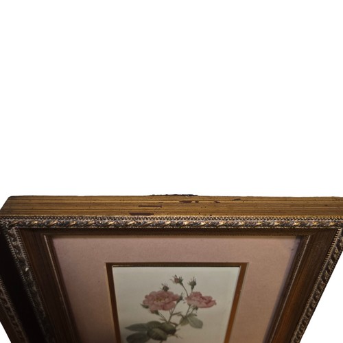 Lot of 2 Framed Robert Grace Art Print Pin Roses Shabby Chic See Description - Picture 8 of 10