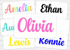 PERSONALISED Vinyl Name Sticker Decal Label Lunchbox Water Bottle School Wedding