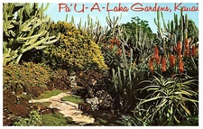 Pa'u-a-laka Gardens Tropical Flowers & Plants Hawaii Postcard