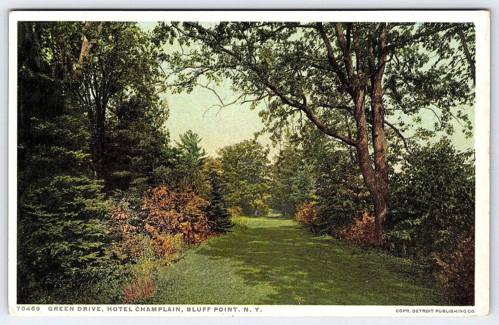 Original Old Vintage Postcard Green Drive Hotel Champlain Bluff Point New York