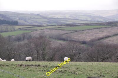 Foto 12x8 West Somerset: Landschaft Coppleham Blick über c2014