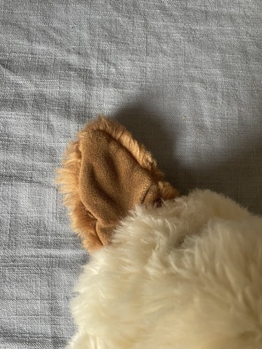 TY toppe classiche marrone crema cucciolo cane peluche giocattolo imbottito 12 pollici 1995 posa - Foto 5 di 6