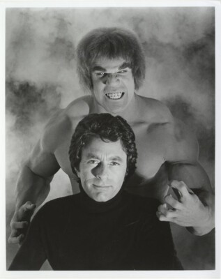 The Incredible Hulk Bill Bixby Lou Ferrigno TV Series Portrait Original ...