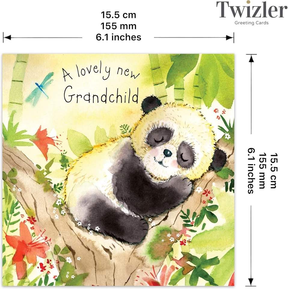 Nueva tarjeta de felicitación para nieto - Baby Panda - primera vez abuela, abuelo, abuelo Foto 3 de 4