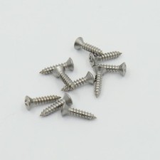 Pickguard Screw Set 12pc S/S