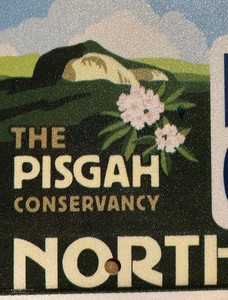 LICENSE PLATE PLATES Sample Collector North Carolina PISGAR National Forest 