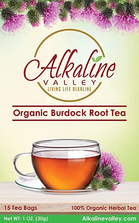 Burdock Root Tea Organic - 15 Unbleached/Chemical-Free Burdock Root Tea Bags