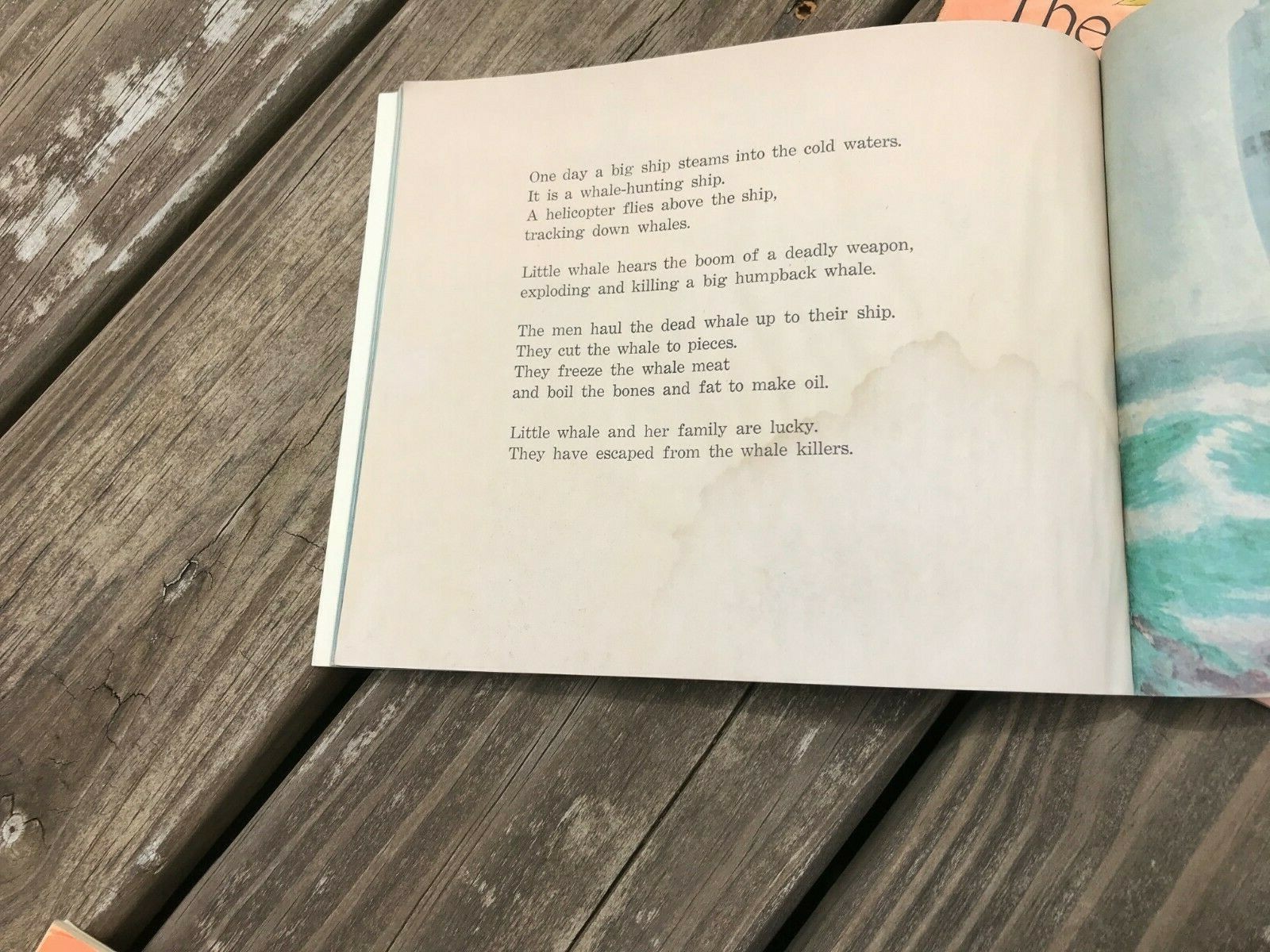 Picture 6 of 8