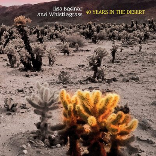 Lisa Bodnar & Whistlegrass 40 Years in the Desert (CD) Album