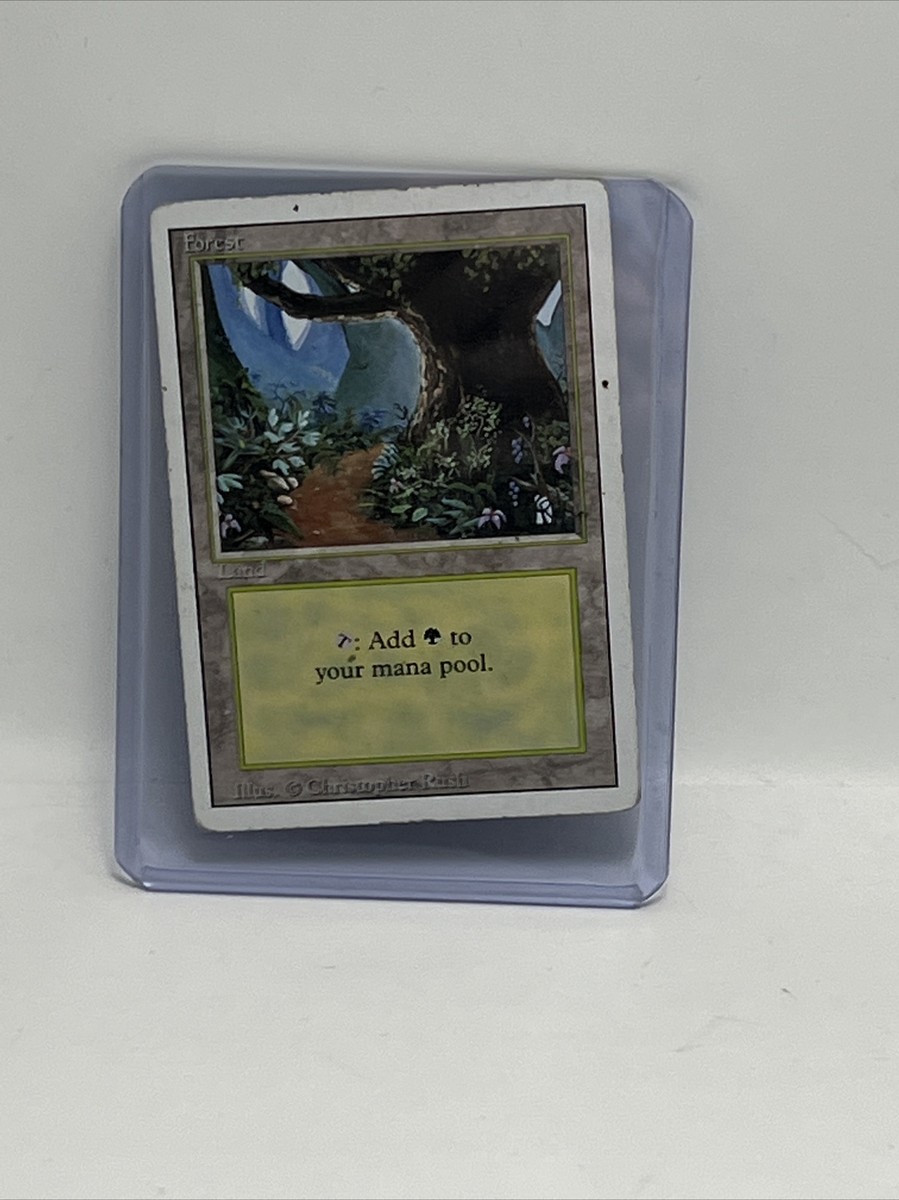 MTG Magic the Gathering REVISED EDITION FOREST #305 UNPLAYED | eBay